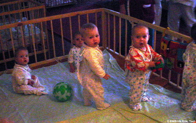 These little babies are very healthy despite their Aids disgnosis.