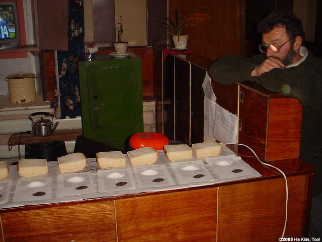 Their evening meal, consists of, bread, a teaspoon of tea, and a teaspoon of sugar.