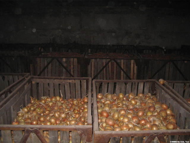 Onions, beets, carrots, cabagge, tomatoes, peppers, cucumbers, and their own orchard of apples, pears, berries, and more, this f