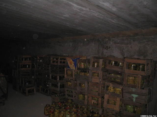 All these fruits and vegtables were planted, harvested, canned and are stored on the property!