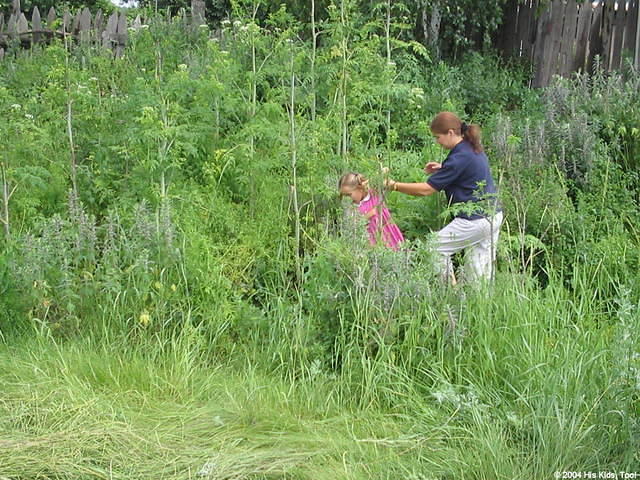 IMG_0055.jpg