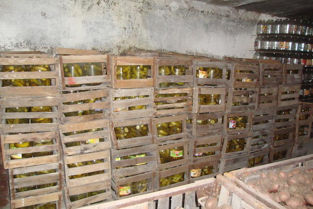 DSC02404.JPG