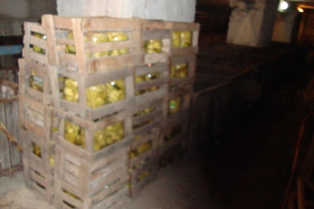 DSC02406.JPG