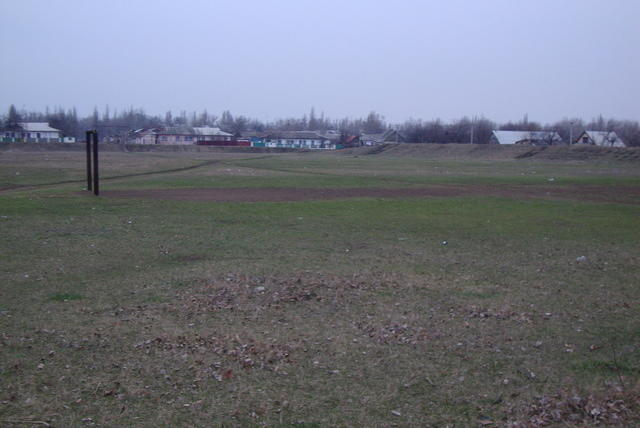 DSC02436.JPG