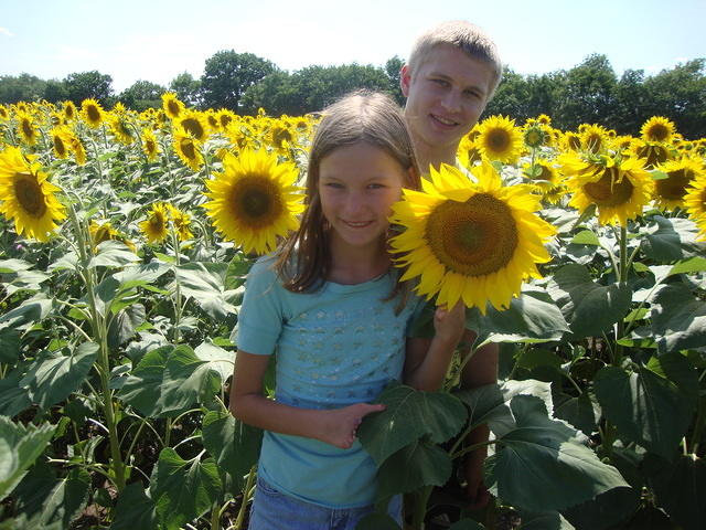 Sunflowers were in bloom in Beautiful Ukraine!