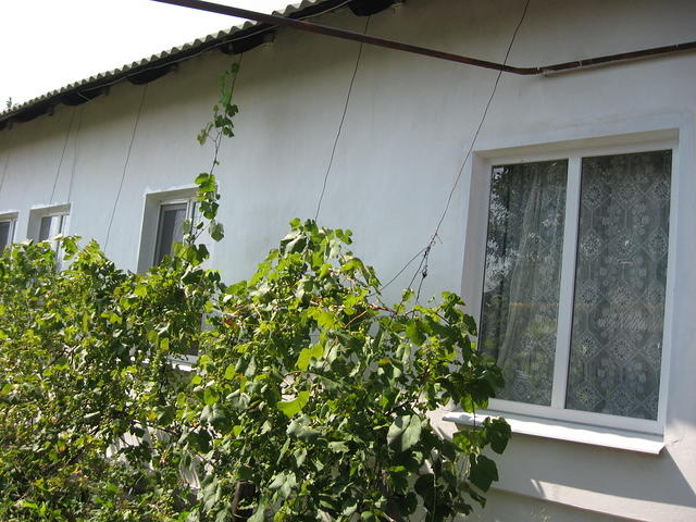 New windows and painted house.
