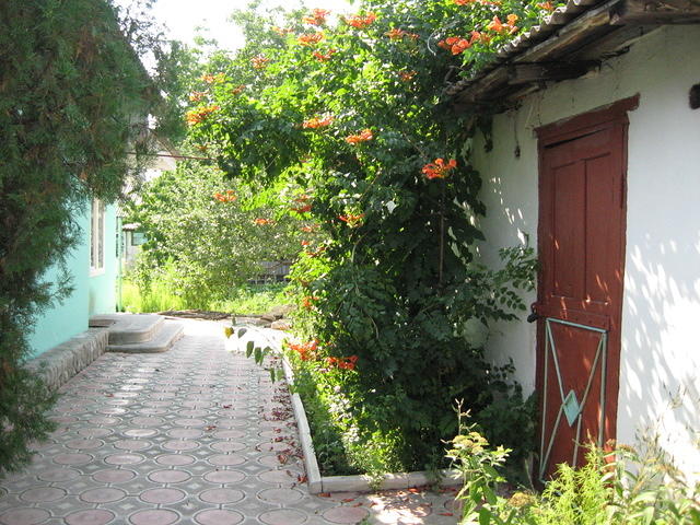 Front courtyard of the smaller house.