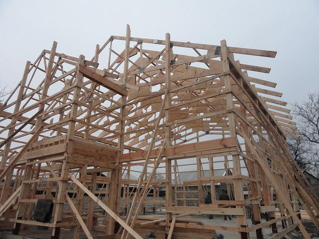 DSC01608.JPG