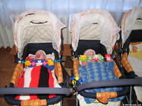 These babies are toast warm in their blankets, thank you Frieda and Zula for these donations!