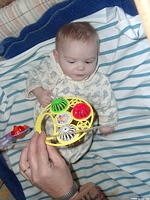 This baby likes it's new toy.