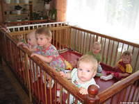 These babies enjoy the freedom of the large indoor playpen.