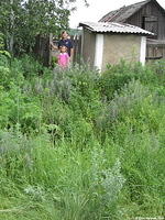 IMG_0053.jpg