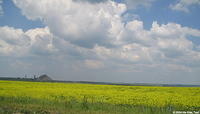 If you travel by day, enjoys the beauty of Ukraine.  Depending on the time of year you travel, you may see fields of flowers.