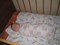 Sleeping soundly.