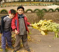 'Fall' was all around us, the leaves were so pretty.  The boys use branches as brooms.