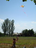 It was a great day to fly a kite.