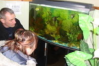 Sergey and Luda enjoyed the fish tank.
