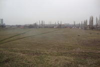 We are looking for a sponsor to underwrite this field project....