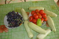 Out of our garden!
