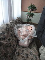 DSC00277.jpg