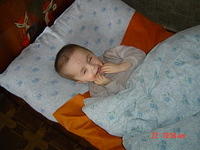 Spring 2005