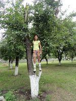 DSC00781.jpg