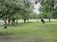 DSC00788.JPG