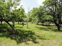 DSC00793.JPG
