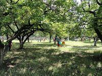 DSC00795.JPG