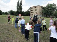 DSC00803.JPG