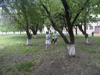 DSC04556.JPG