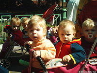 These babies look on to all the excitement!