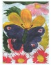 Greeting cards - set 1